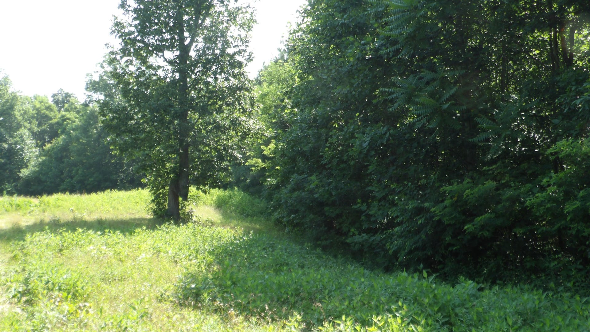 580 Pleasant Cemetery Lane, Gainesboro, TN 38562 580 Pleasant Cemetery Lane, Gainesboro, TN 38562