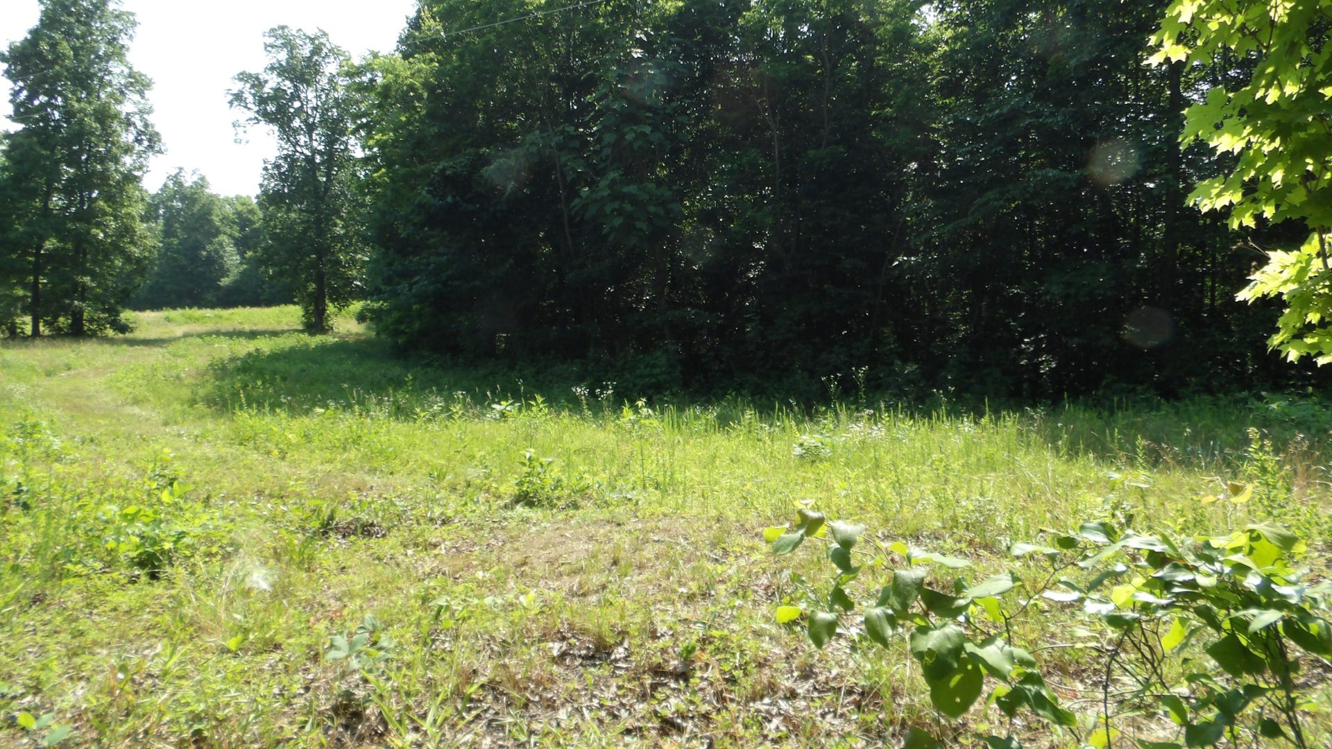 580 Pleasant Cemetery Lane, Gainesboro, TN 38562 580 Pleasant Cemetery Lane, Gainesboro, TN 38562