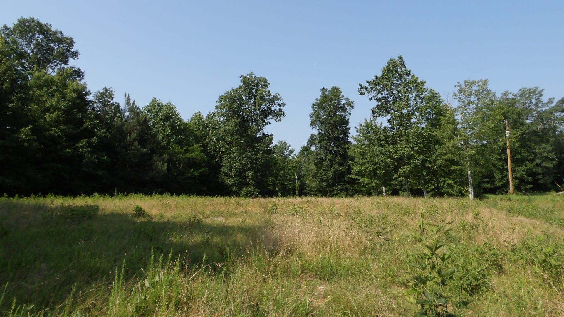 580 Pleasant Cemetery Lane, Gainesboro, TN 38562 580 Pleasant Cemetery Lane, Gainesboro, TN 38562