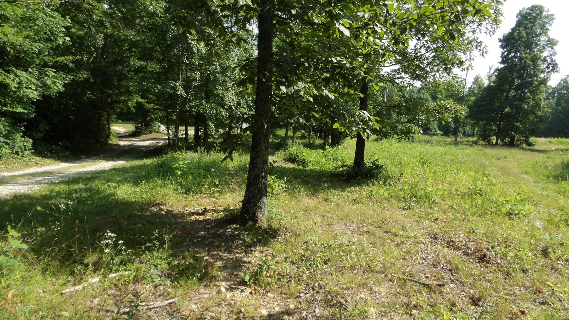 580 Pleasant Cemetery Lane, Gainesboro, TN 38562 580 Pleasant Cemetery Lane, Gainesboro, TN 38562
