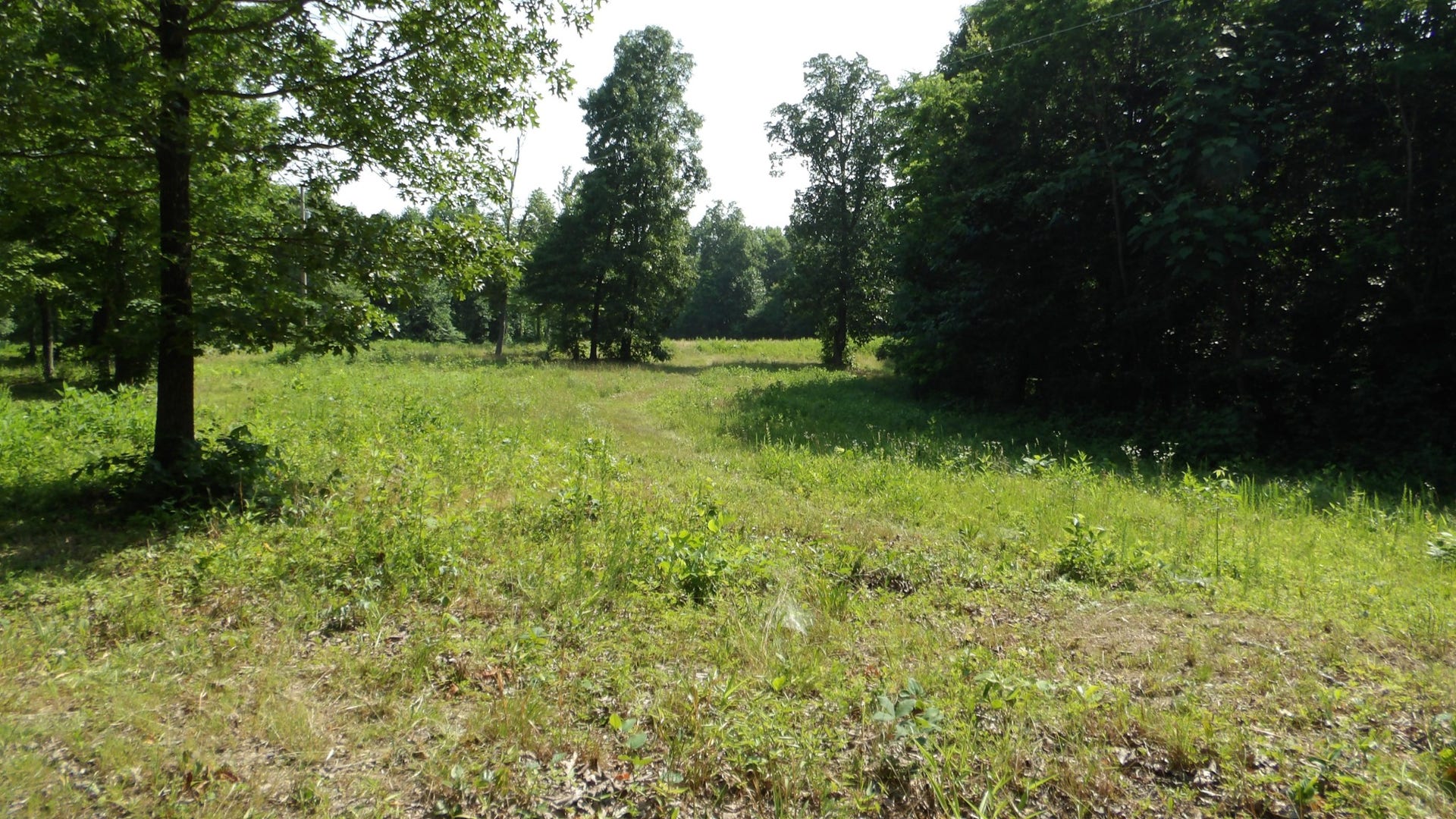 580 Pleasant Cemetery Lane, Gainesboro, TN 38562 580 Pleasant Cemetery Lane, Gainesboro, TN 38562