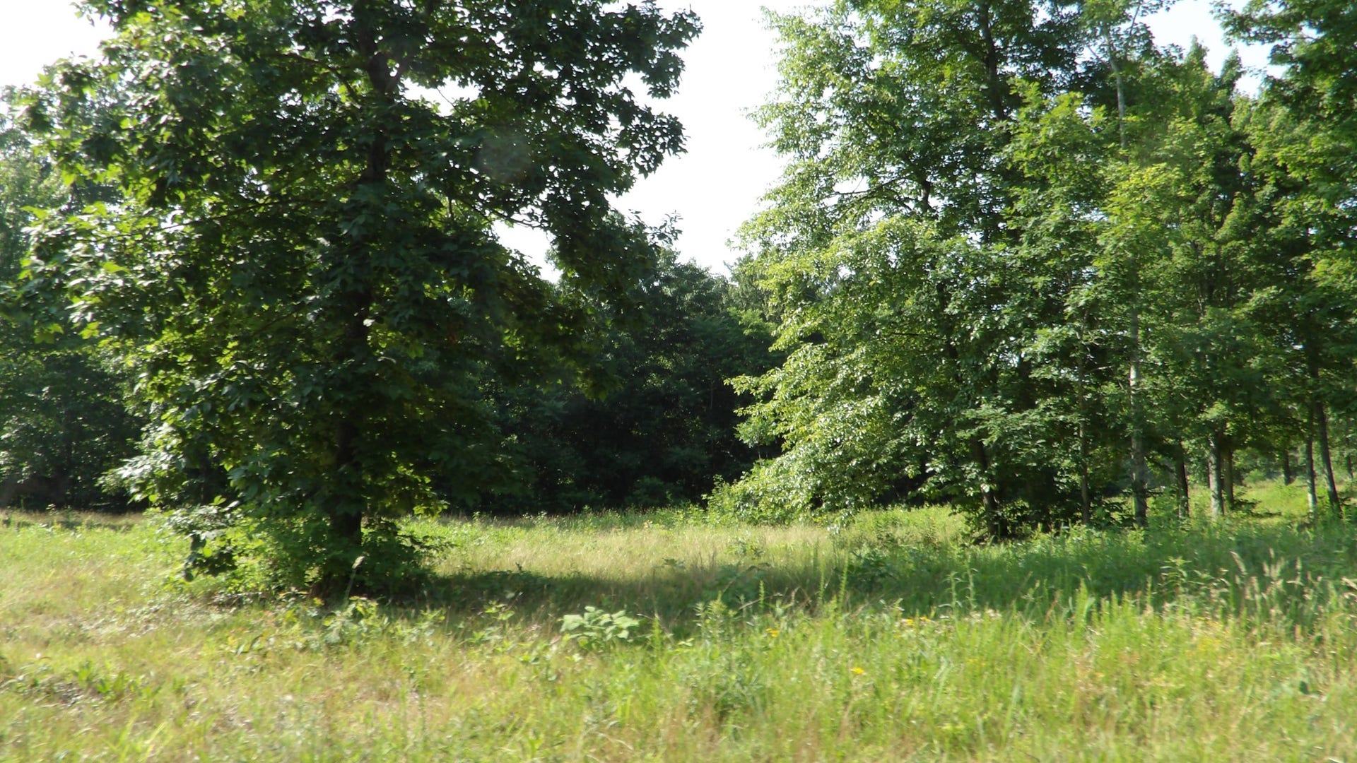 580 Pleasant Cemetery Lane, Gainesboro, TN 38562 580 Pleasant Cemetery Lane, Gainesboro, TN 38562