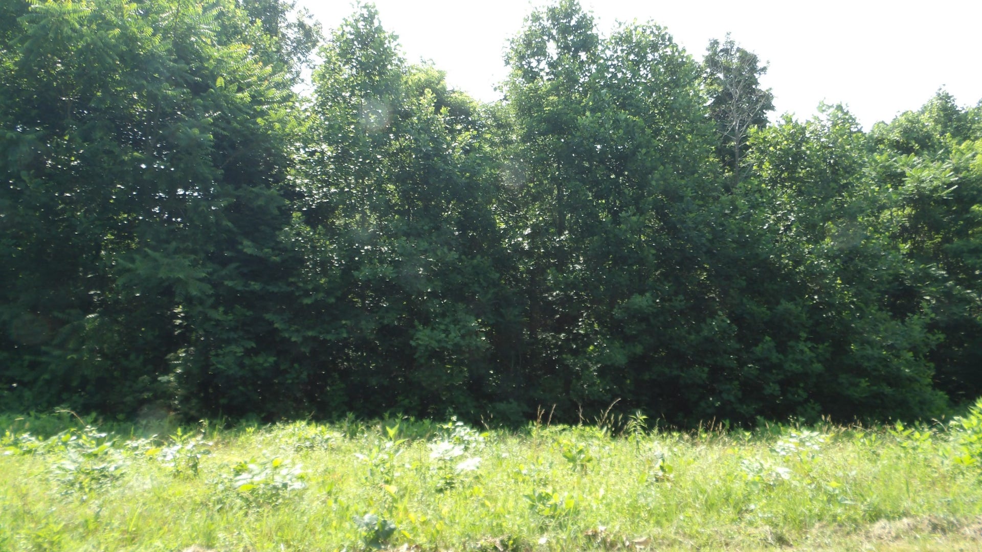 580 Pleasant Cemetery Lane, Gainesboro, TN 38562 580 Pleasant Cemetery Lane, Gainesboro, TN 38562