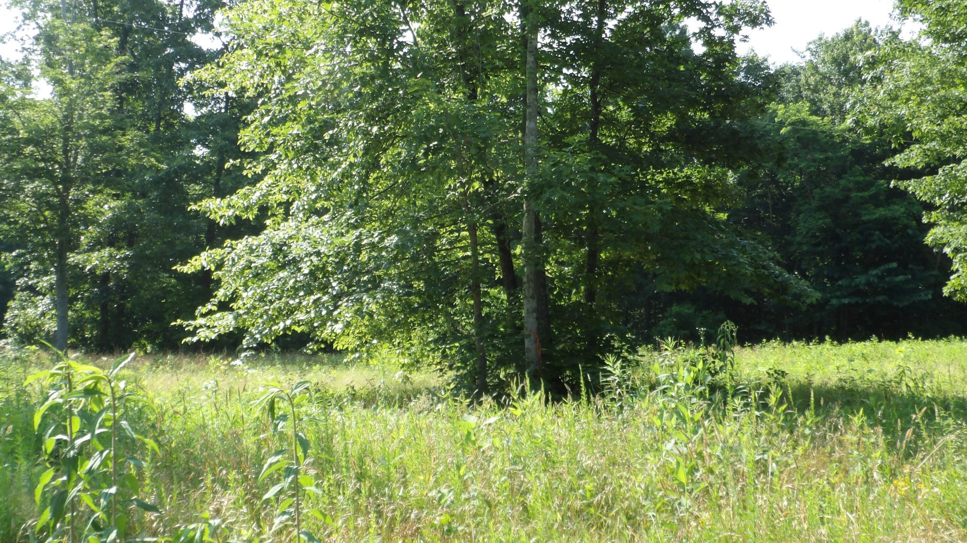 580 Pleasant Cemetery Lane, Gainesboro, TN 38562 580 Pleasant Cemetery Lane, Gainesboro, TN 38562