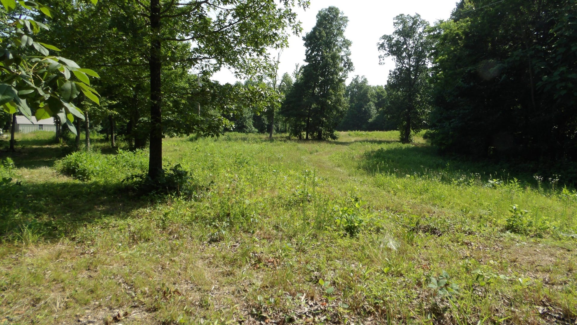 580 Pleasant Cemetery Lane, Gainesboro, TN 38562 580 Pleasant Cemetery Lane, Gainesboro, TN 38562