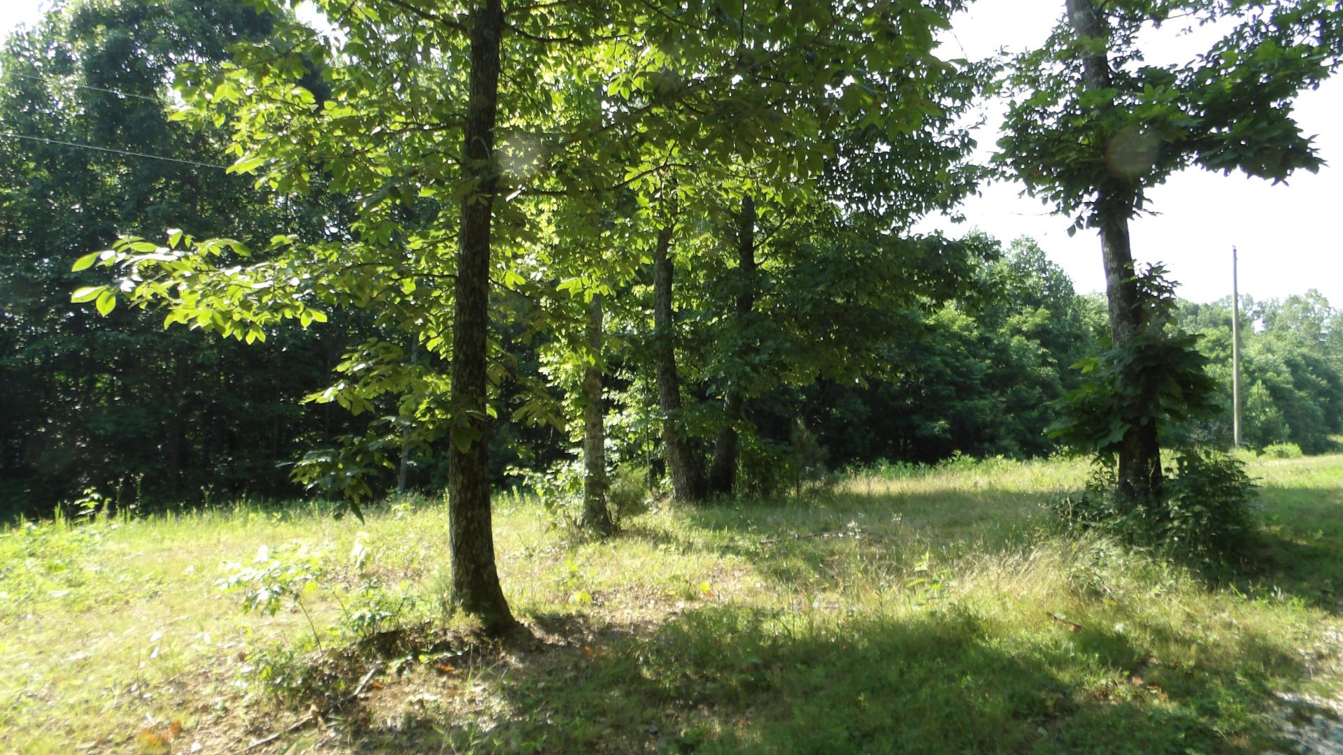 580 Pleasant Cemetery Lane, Gainesboro, TN 38562 580 Pleasant Cemetery Lane, Gainesboro, TN 38562