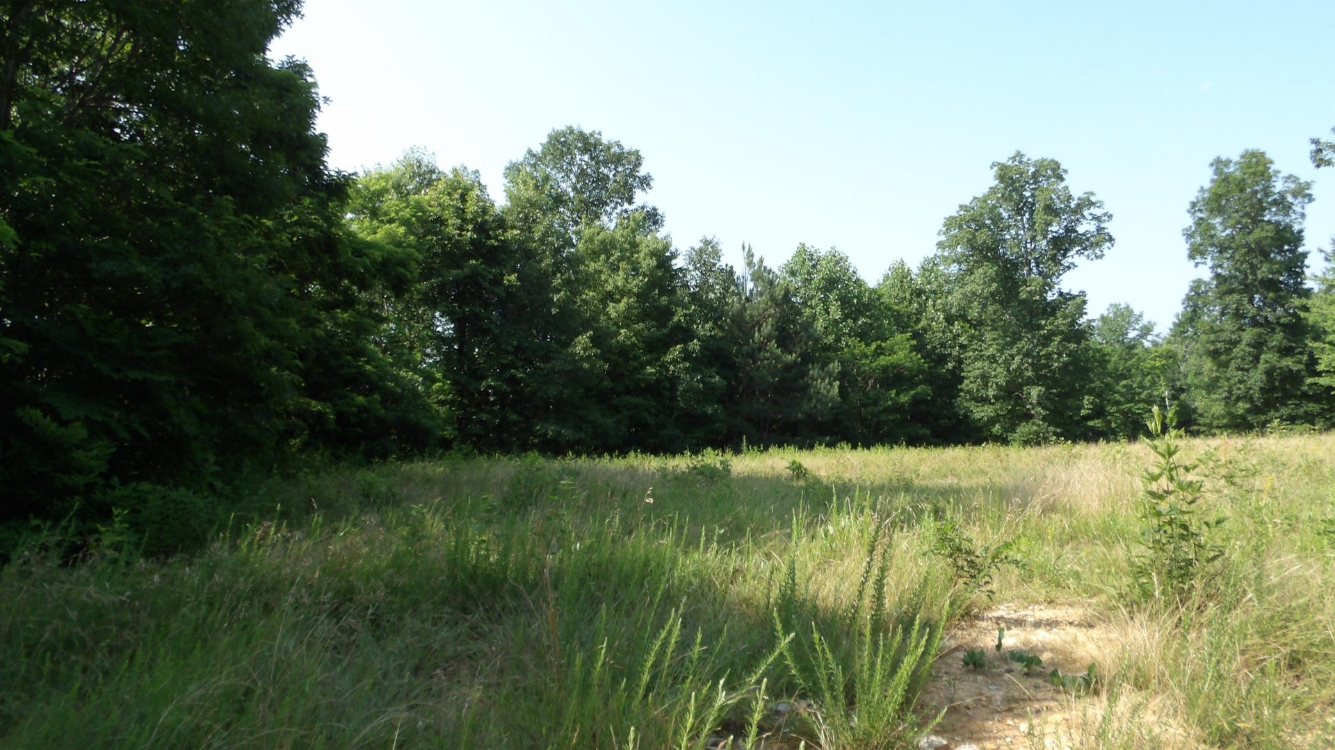 580 Pleasant Cemetery Lane, Gainesboro, TN 38562 580 Pleasant Cemetery Lane, Gainesboro, TN 38562