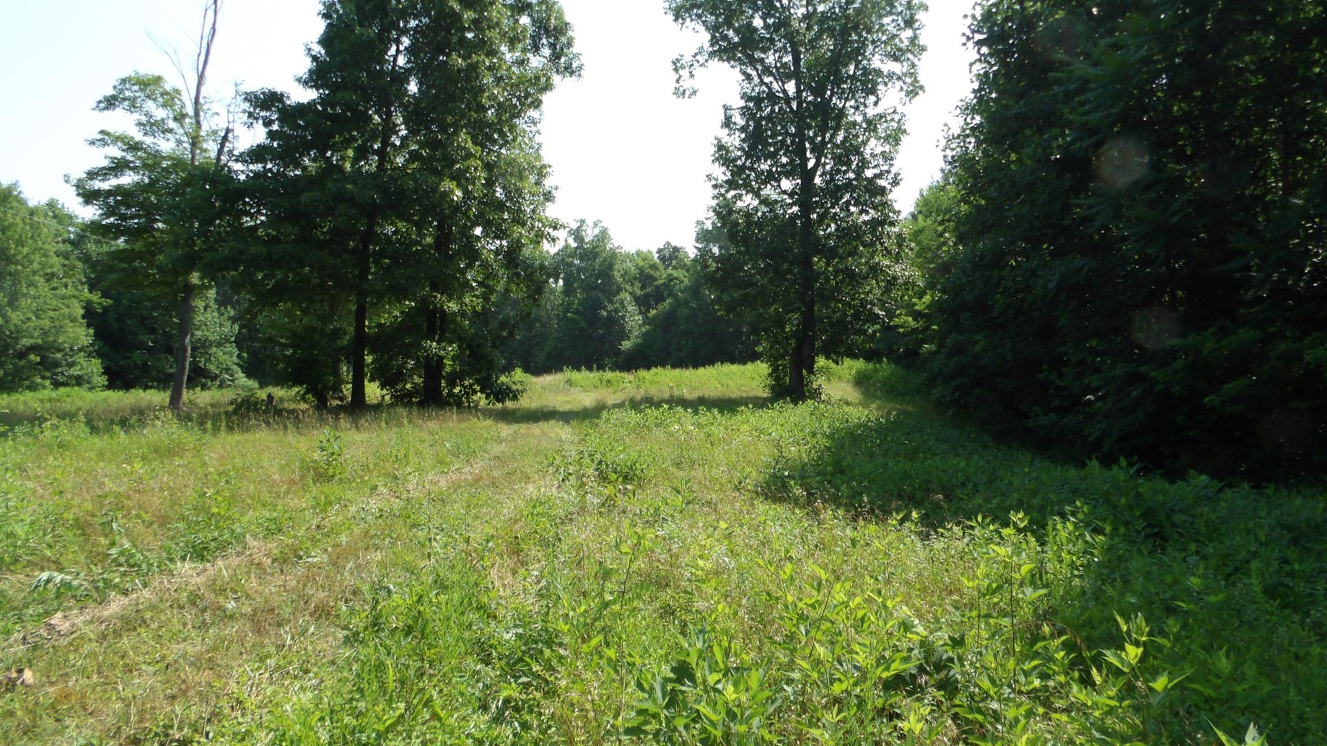580 Pleasant Cemetery Lane, Gainesboro, TN 38562 580 Pleasant Cemetery Lane, Gainesboro, TN 38562
