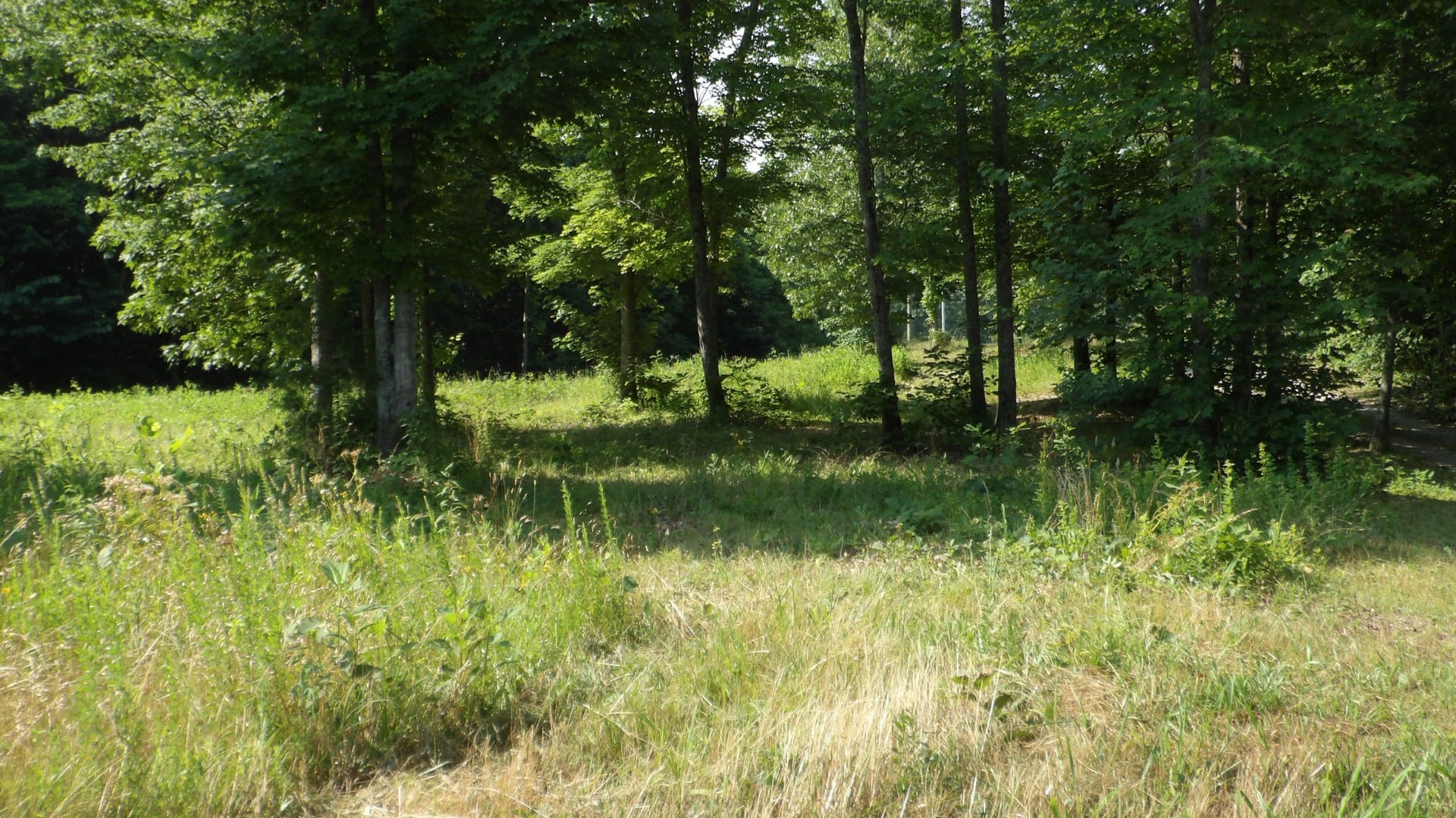 580 Pleasant Cemetery Lane, Gainesboro, TN 38562 580 Pleasant Cemetery Lane, Gainesboro, TN 38562