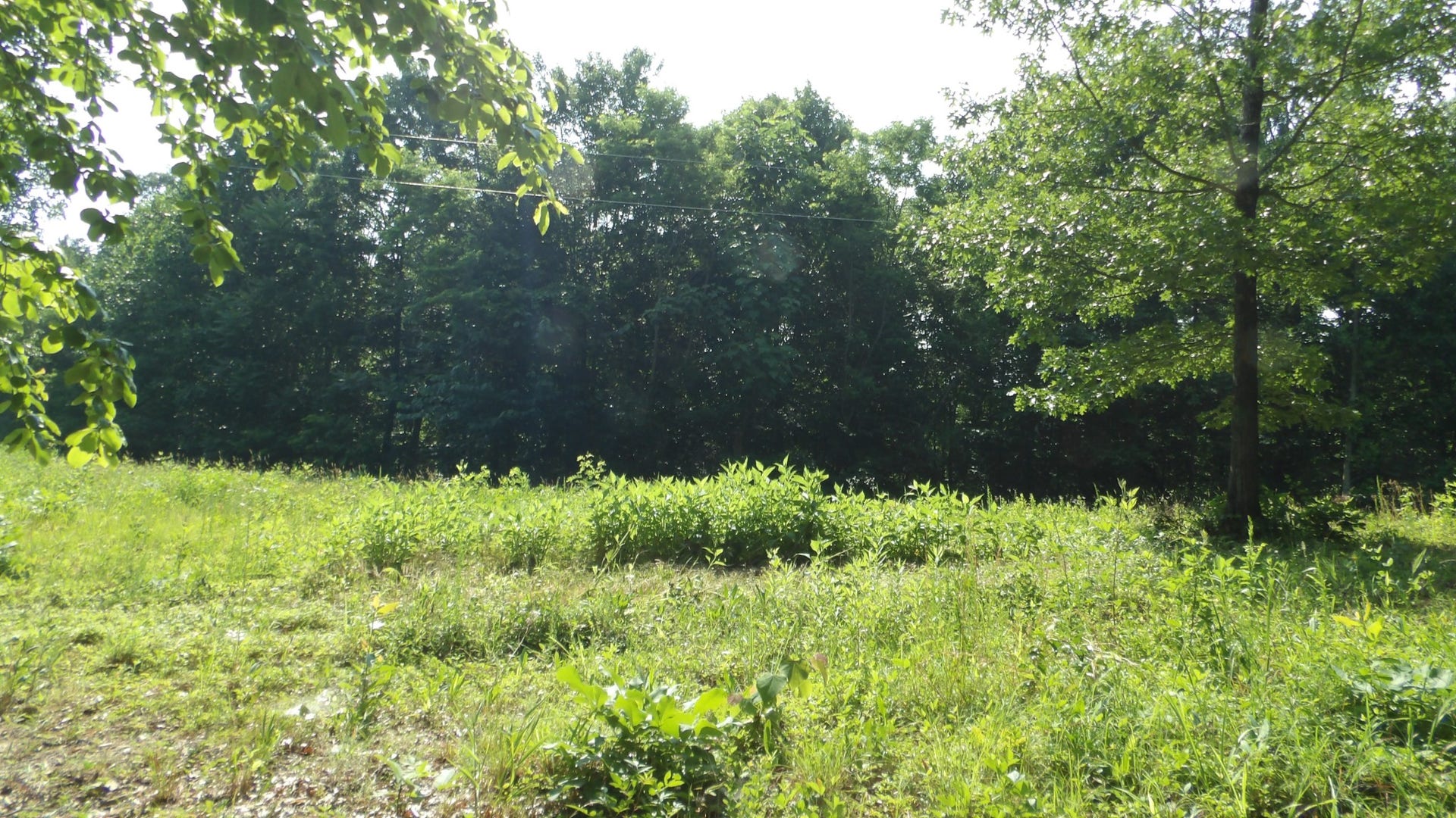 580 Pleasant Cemetery Lane, Gainesboro, TN 38562 580 Pleasant Cemetery Lane, Gainesboro, TN 38562