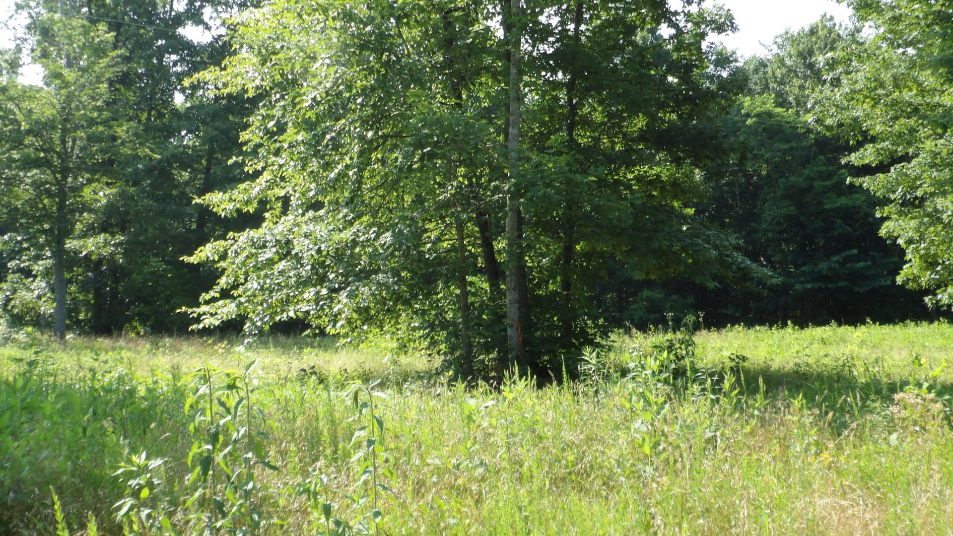 580 Pleasant Cemetery Lane, Gainesboro, TN 38562 580 Pleasant Cemetery Lane, Gainesboro, TN 38562
