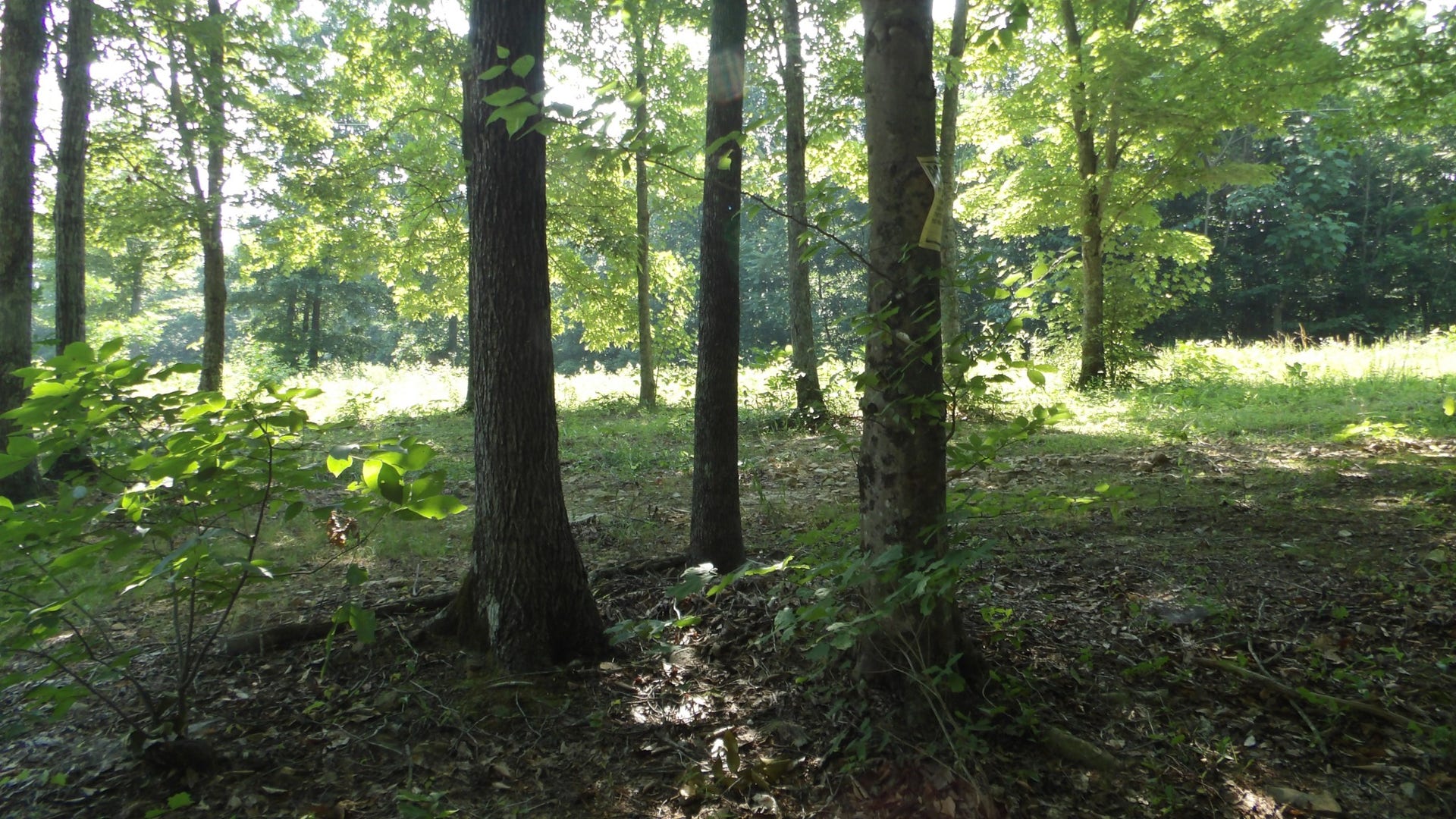 580 Pleasant Cemetery Lane, Gainesboro, TN 38562 580 Pleasant Cemetery Lane, Gainesboro, TN 38562