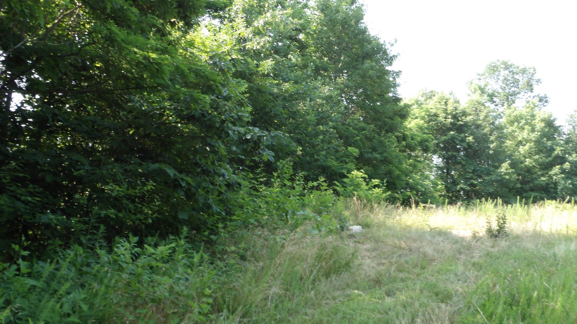 580 Pleasant Cemetery Lane, Gainesboro, TN 38562 580 Pleasant Cemetery Lane, Gainesboro, TN 38562