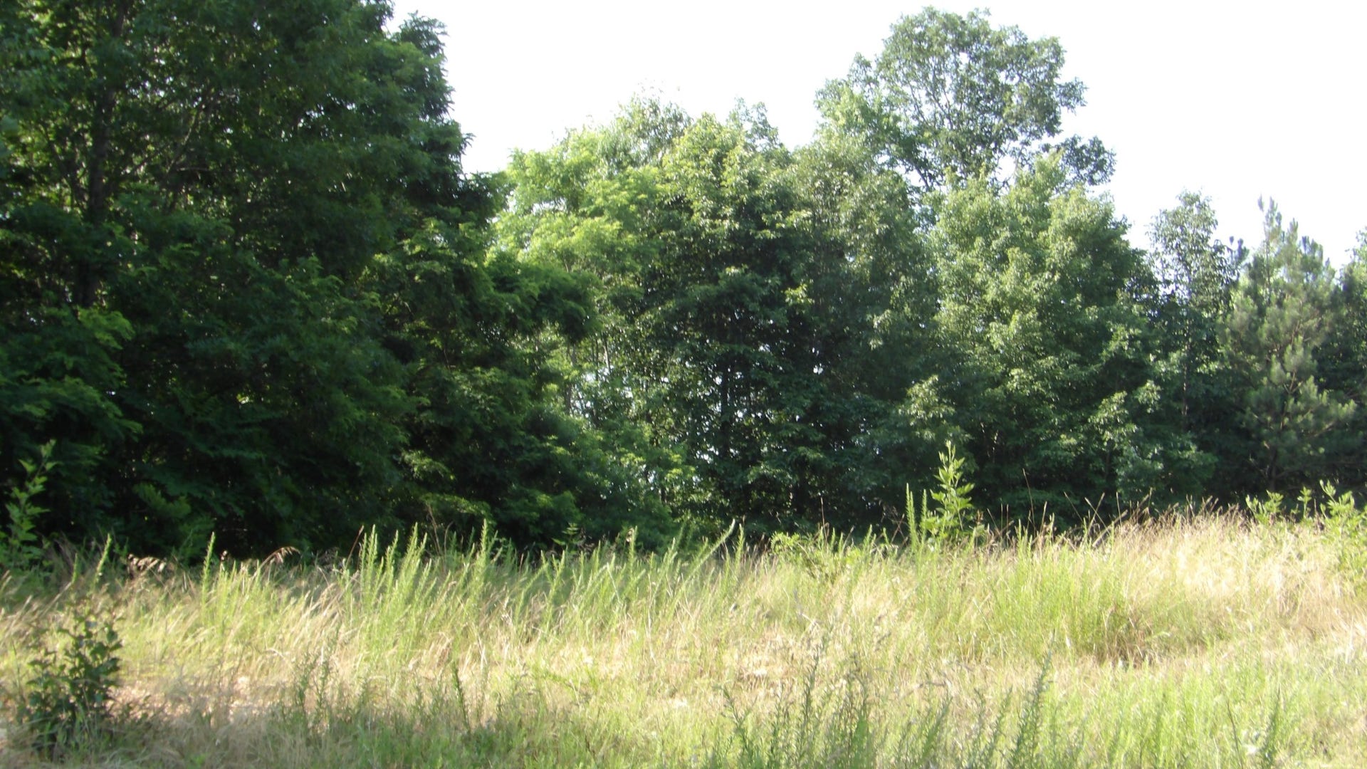 580 Pleasant Cemetery Lane, Gainesboro, TN 38562 580 Pleasant Cemetery Lane, Gainesboro, TN 38562