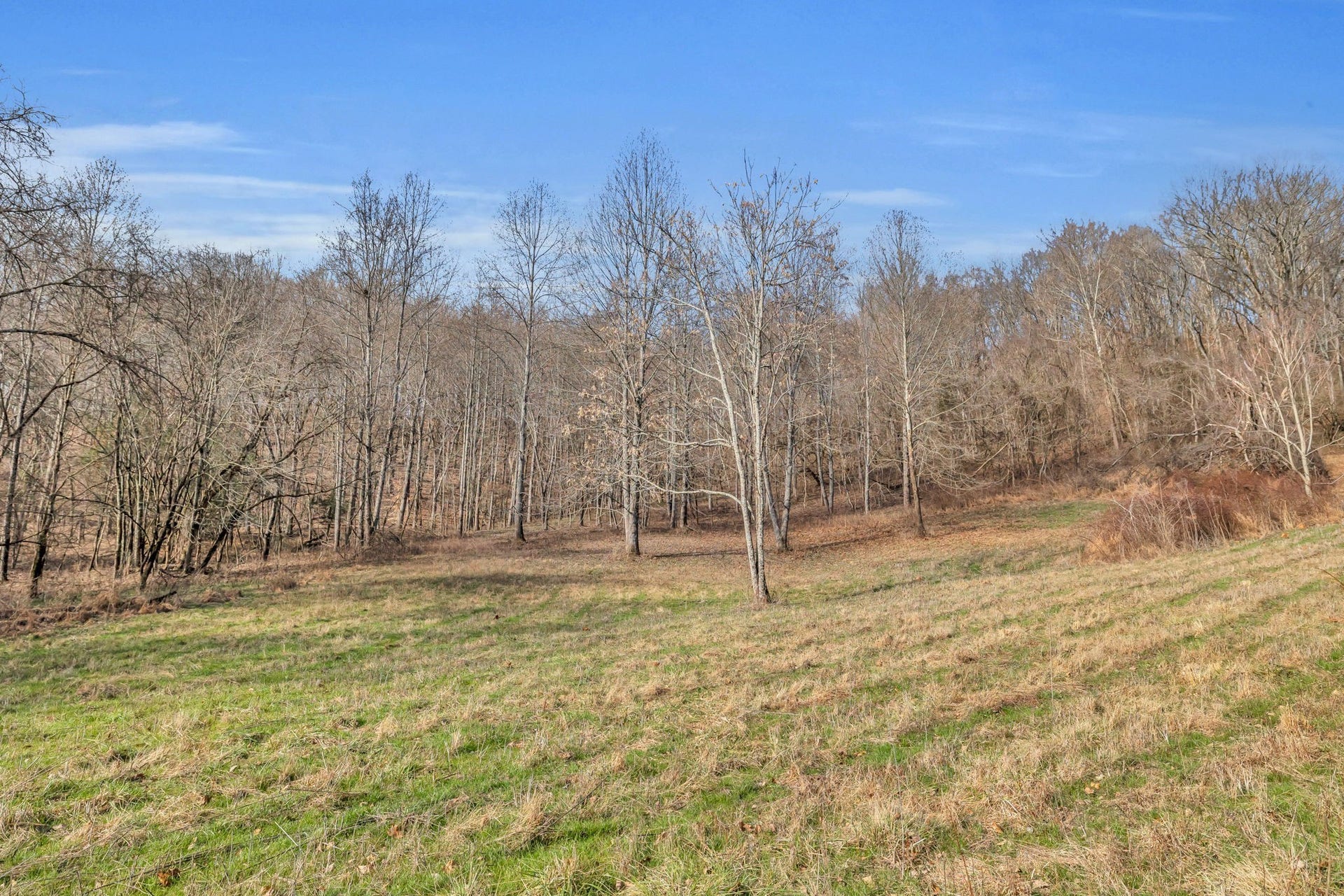3153 Blazer Rd W, Franklin, TN 37064 3153 Blazer Rd W, Franklin, TN 37064