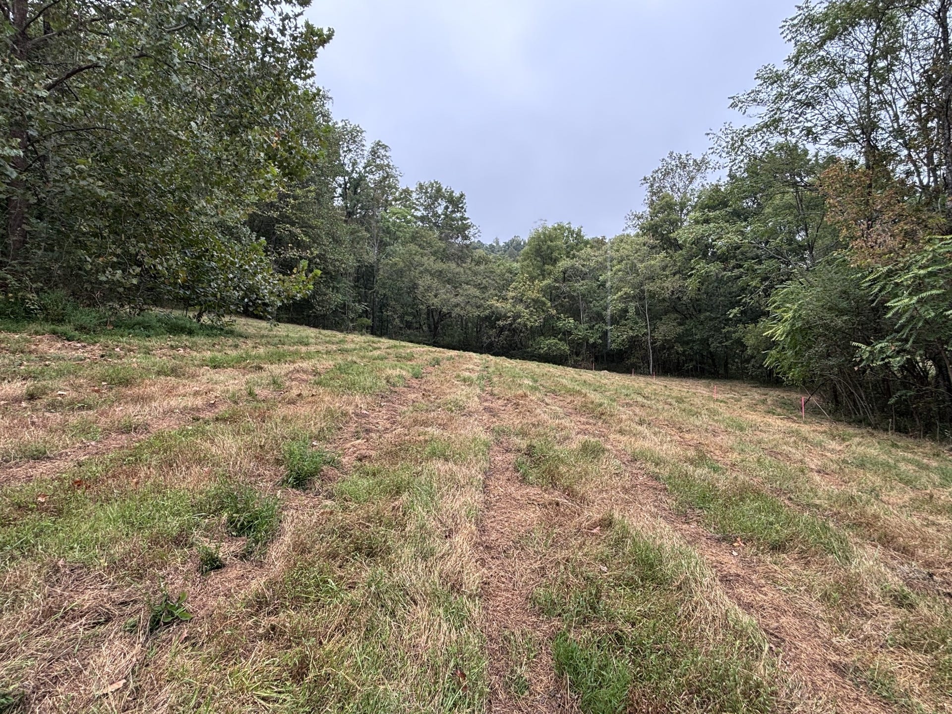 3153 Blazer Rd W, Franklin, TN 37064 3153 Blazer Rd W, Franklin, TN 37064