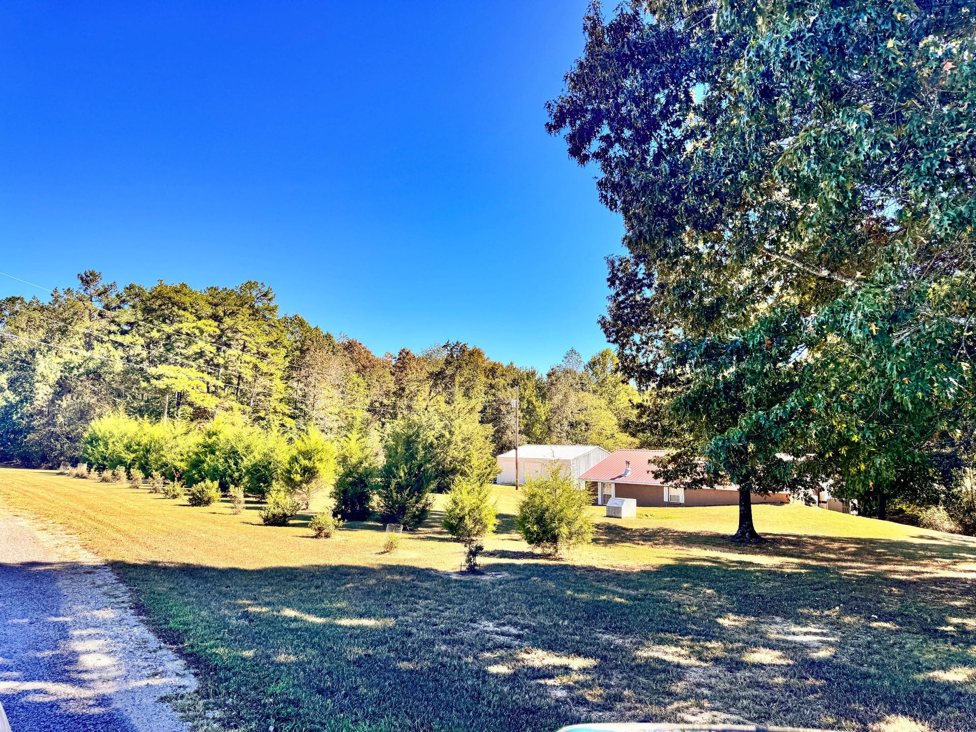 1286 David Patterson Rd, Lutts, TN 38471 1286 David Patterson Rd, Lutts, TN 38471