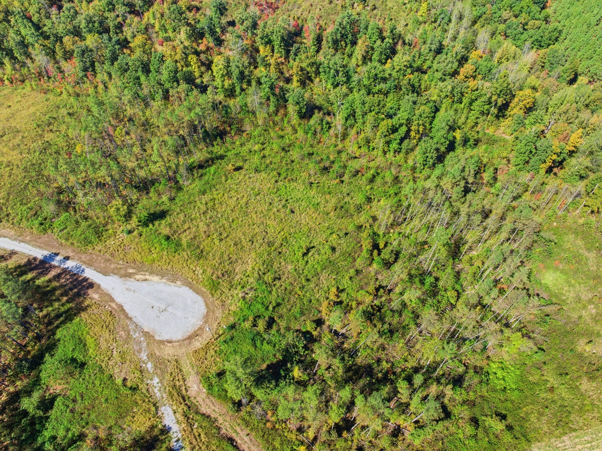 37 Sagebrush Way, Dover, TN 37058 37 Sagebrush Way, Dover, TN 37058