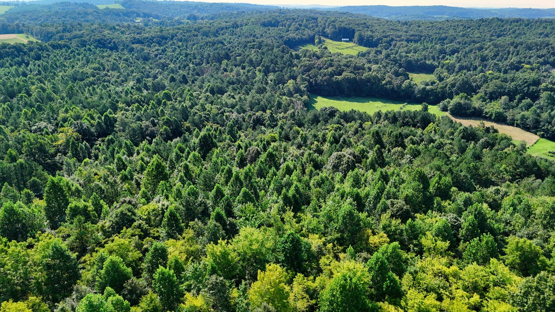 0 Moss Rd, Philadelphia, TN 37846 0 Moss Rd, Philadelphia, TN 37846
