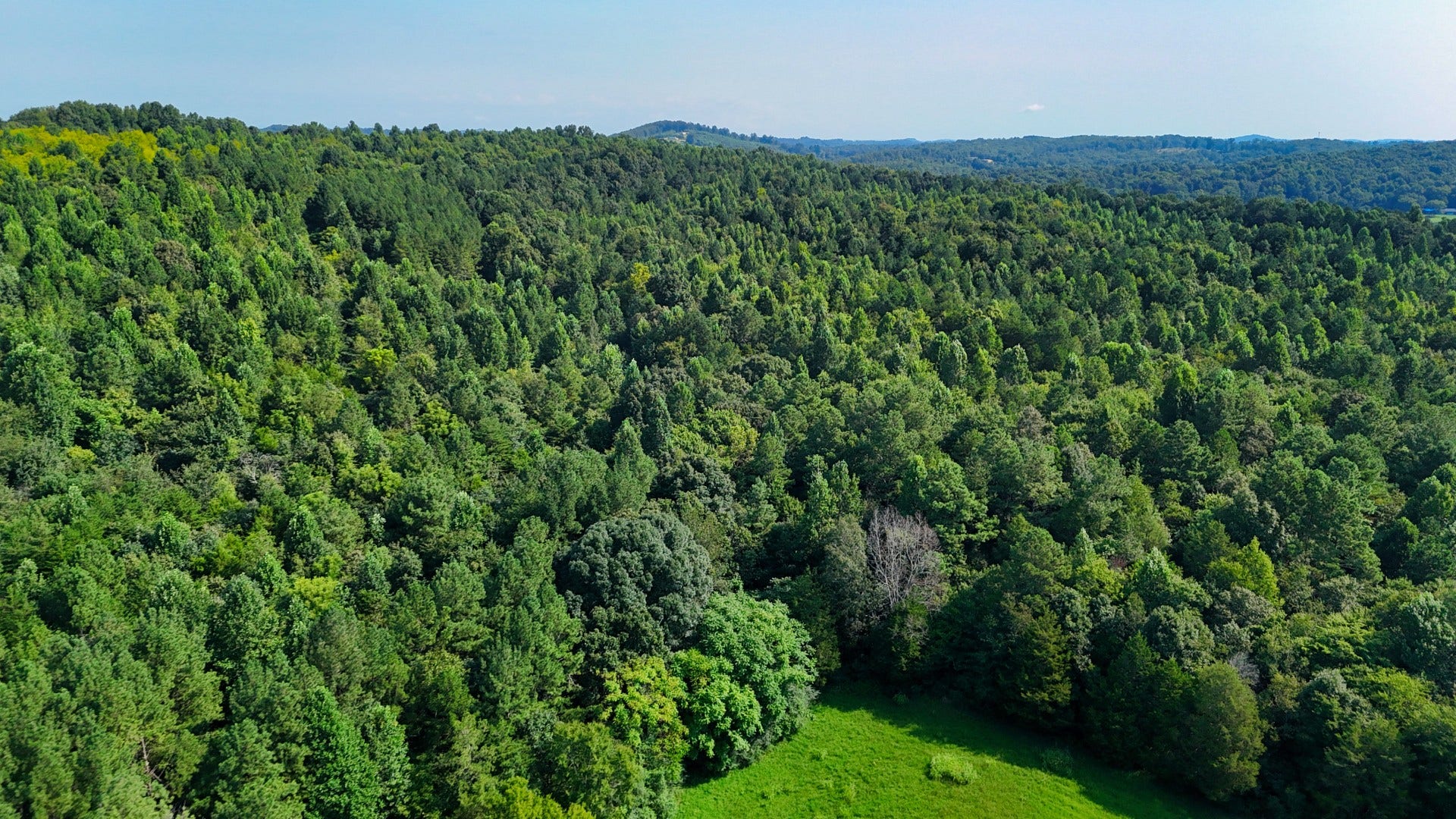 0 Moss Rd, Philadelphia, TN 37846 0 Moss Rd, Philadelphia, TN 37846