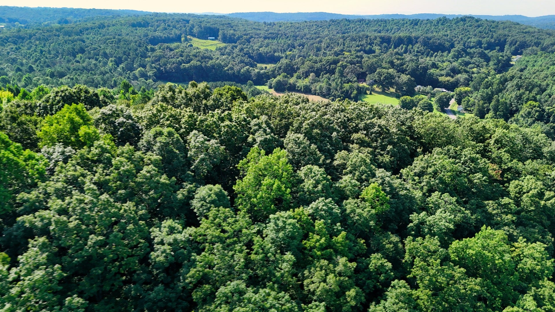 0 Moss Rd, Philadelphia, TN 37846 0 Moss Rd, Philadelphia, TN 37846