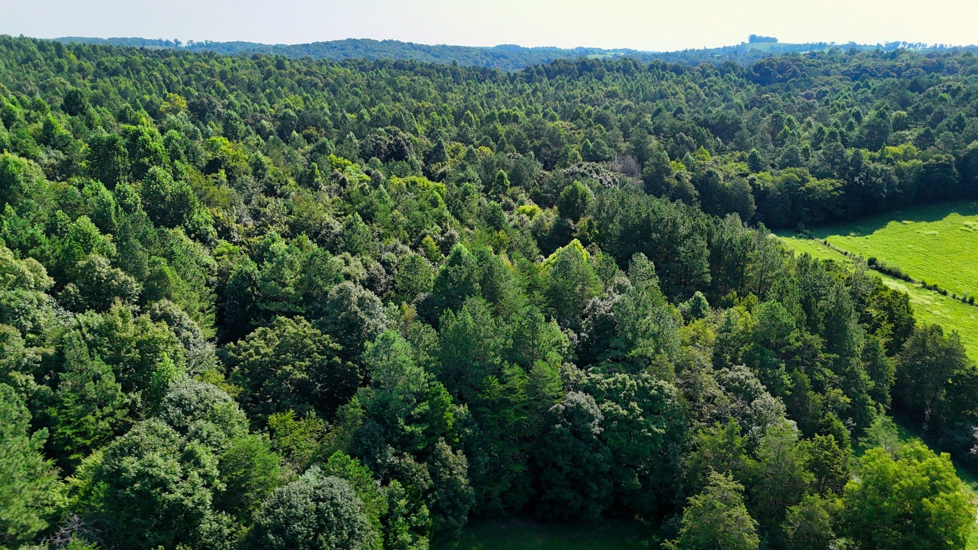 0 Moss Rd, Philadelphia, TN 37846 0 Moss Rd, Philadelphia, TN 37846