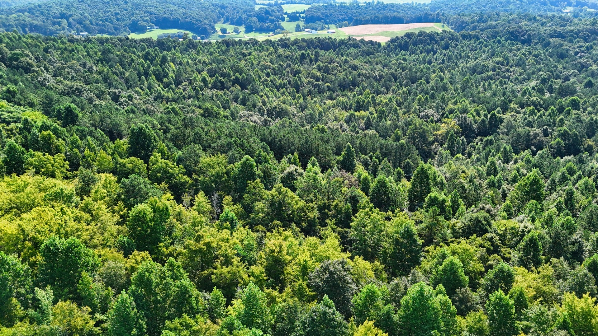 0 Moss Rd, Philadelphia, TN 37846 0 Moss Rd, Philadelphia, TN 37846
