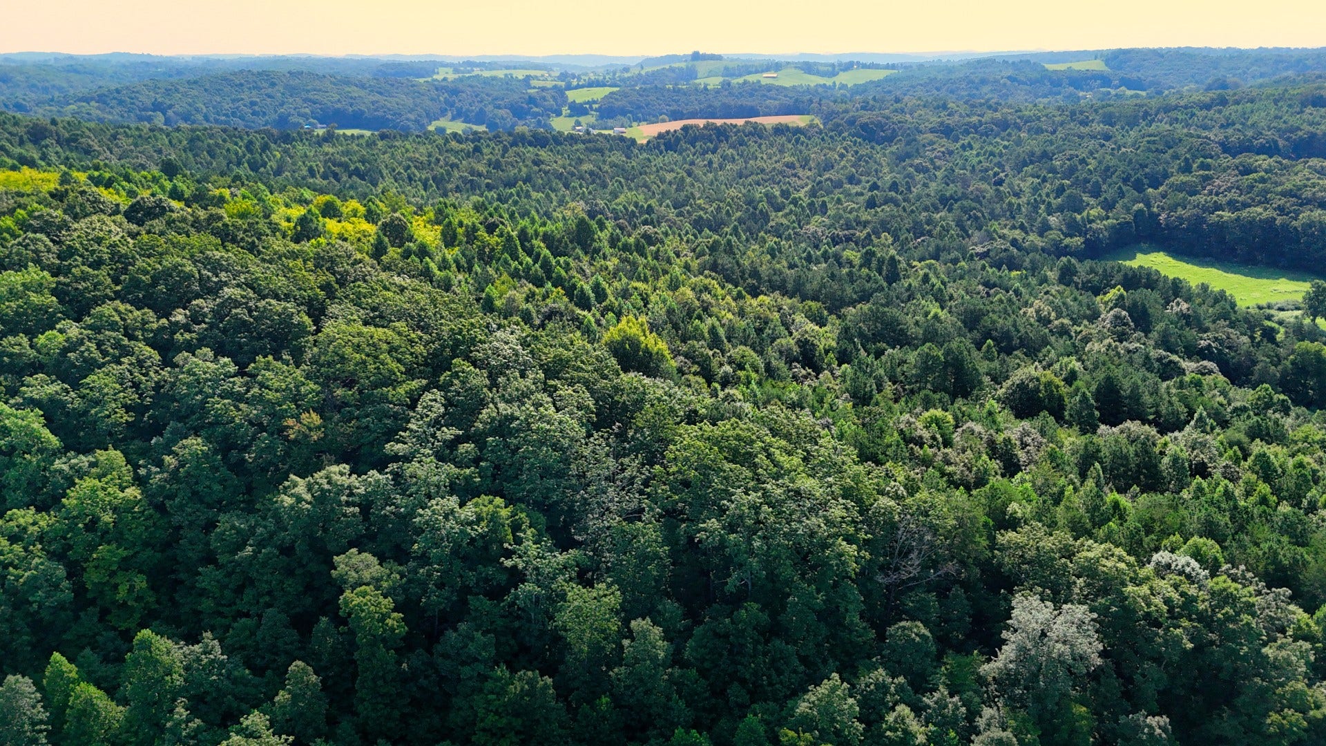 0 Moss Rd, Philadelphia, TN 37846 0 Moss Rd, Philadelphia, TN 37846
