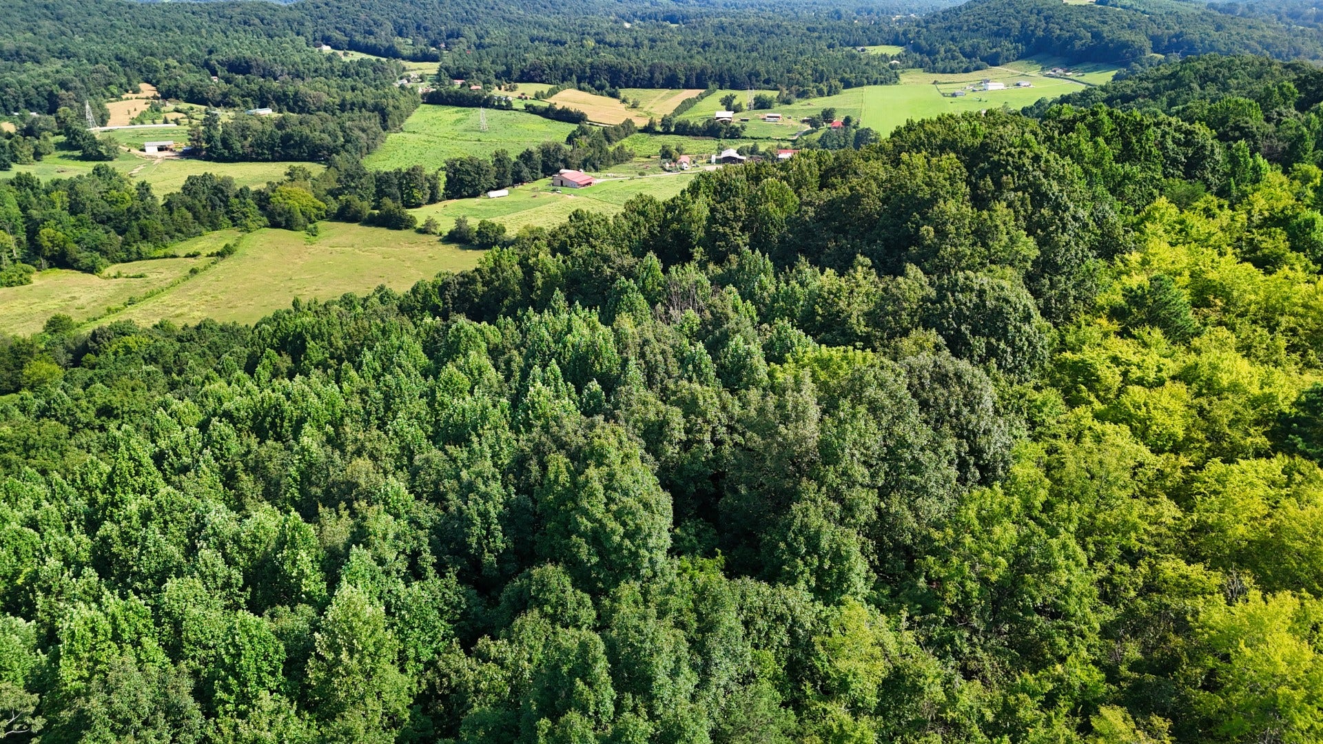 0 Moss Rd, Philadelphia, TN 37846 0 Moss Rd, Philadelphia, TN 37846