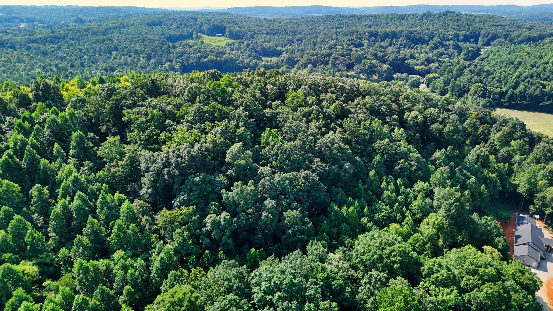 0 Moss Rd, Philadelphia, TN 37846 0 Moss Rd, Philadelphia, TN 37846