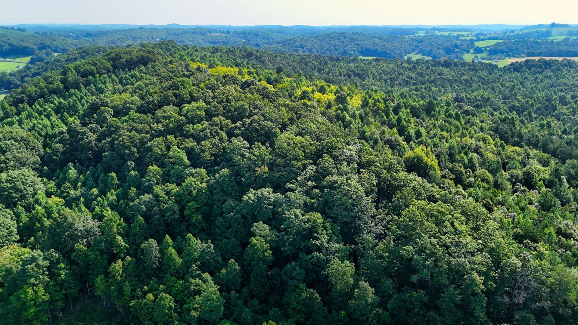 0 Moss Rd, Philadelphia, TN 37846 0 Moss Rd, Philadelphia, TN 37846
