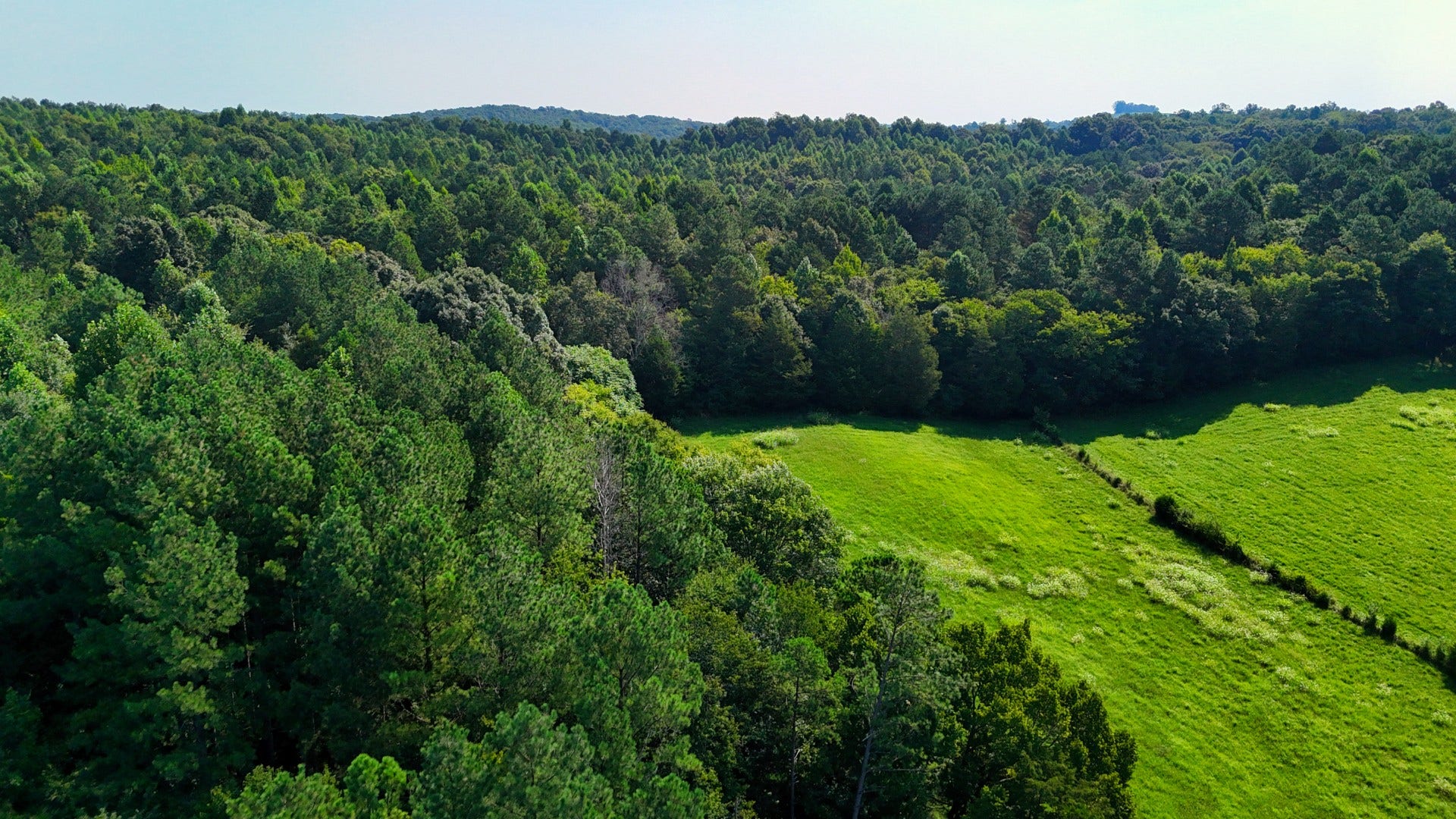 0 Moss Rd, Philadelphia, TN 37846 0 Moss Rd, Philadelphia, TN 37846