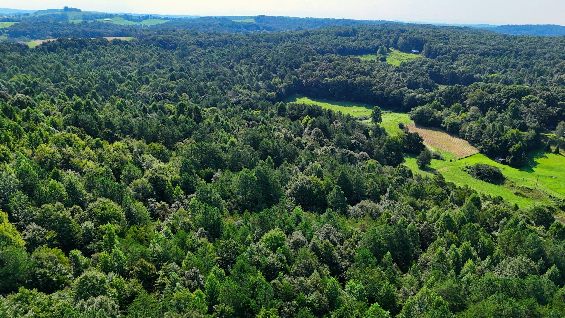 0 Moss Rd, Philadelphia, TN 37846 0 Moss Rd, Philadelphia, TN 37846