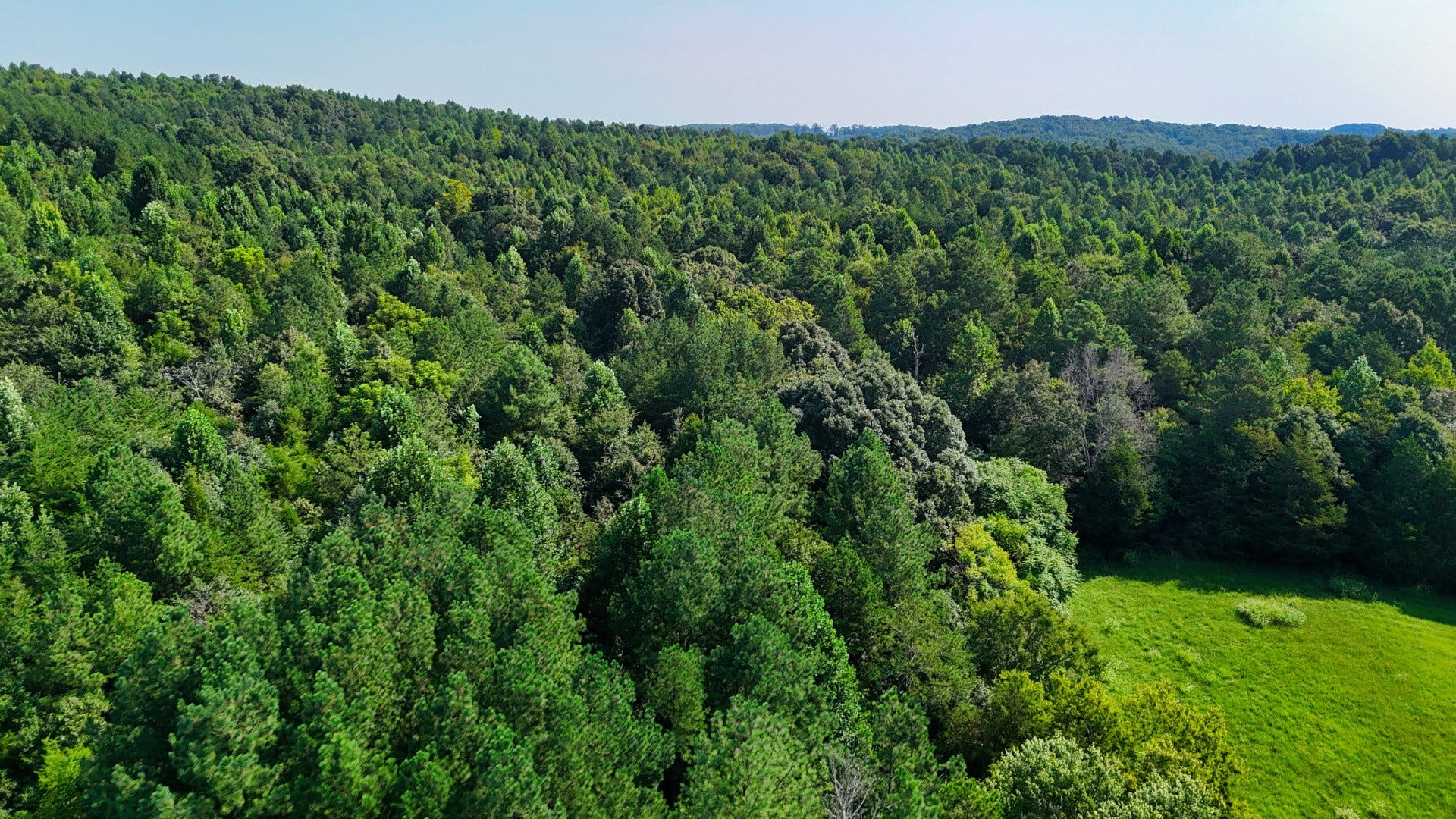 0 Moss Rd, Philadelphia, TN 37846 0 Moss Rd, Philadelphia, TN 37846