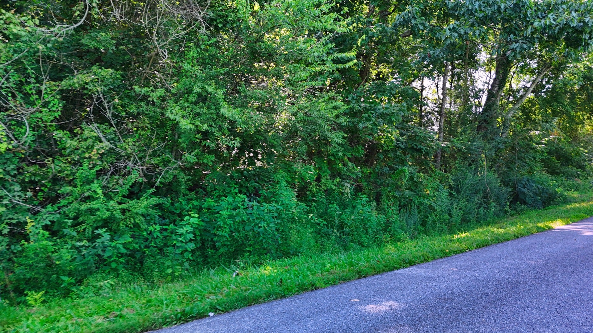 0 Moss Rd, Philadelphia, TN 37846 0 Moss Rd, Philadelphia, TN 37846
