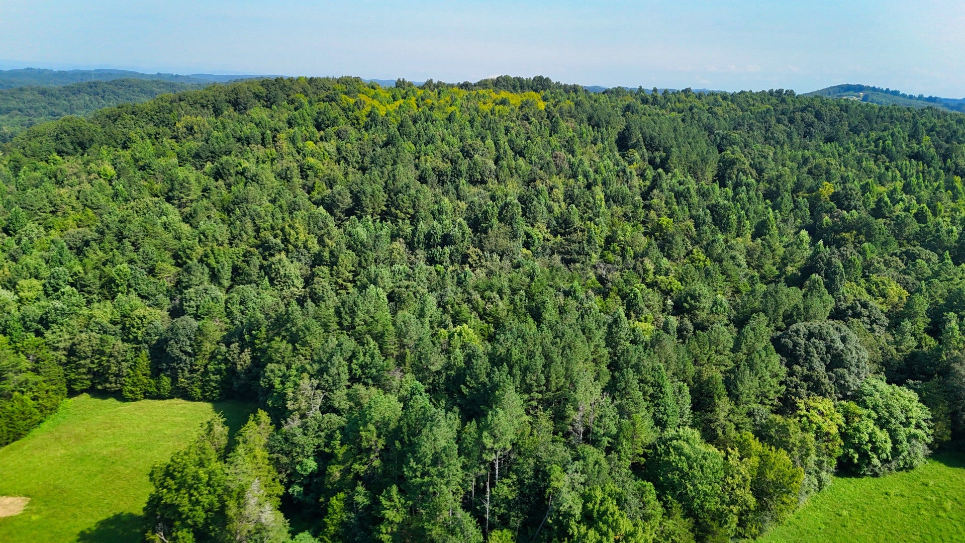 0 Moss Rd, Philadelphia, TN 37846 0 Moss Rd, Philadelphia, TN 37846