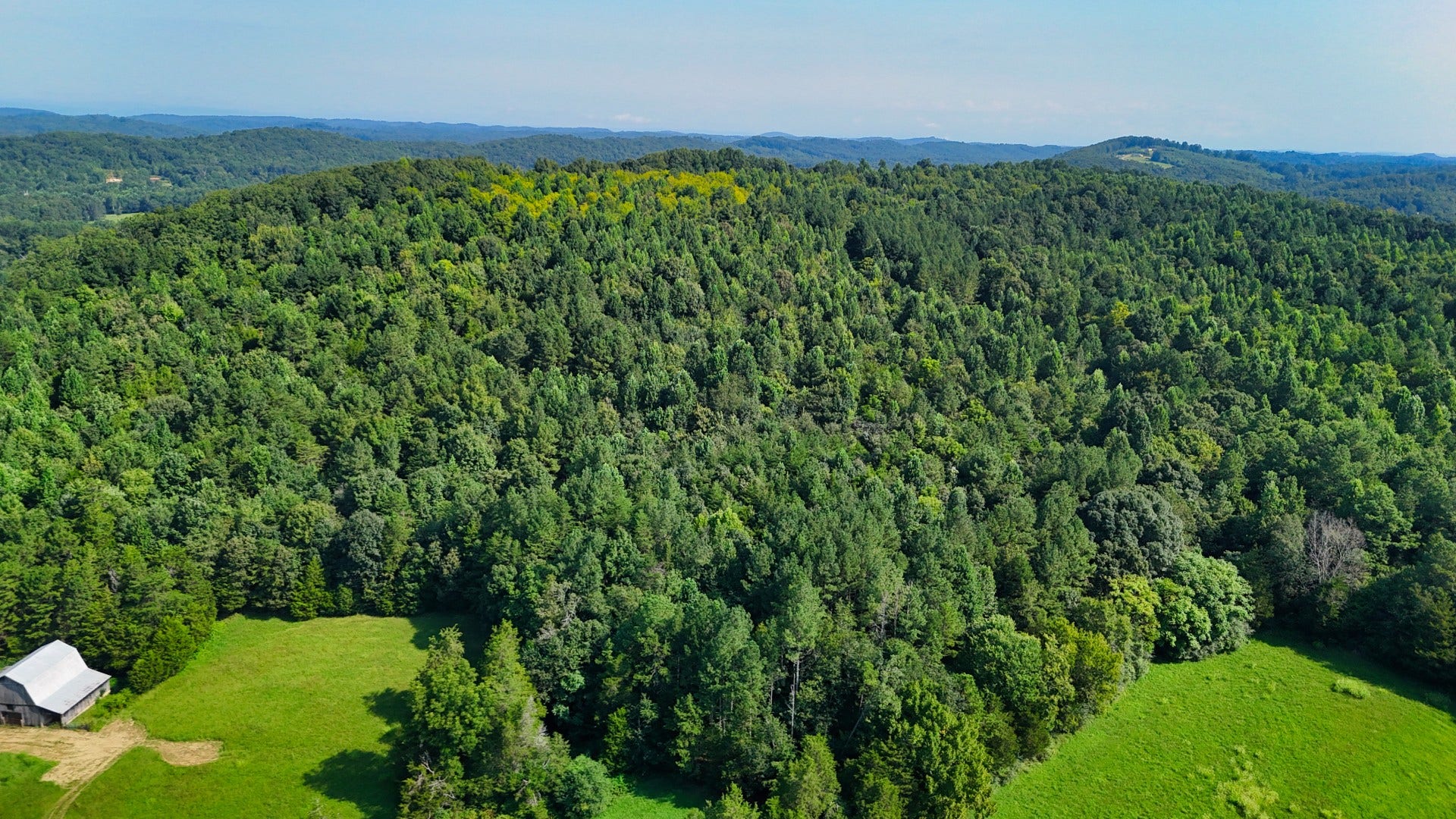 0 Moss Rd, Philadelphia, TN 37846 0 Moss Rd, Philadelphia, TN 37846