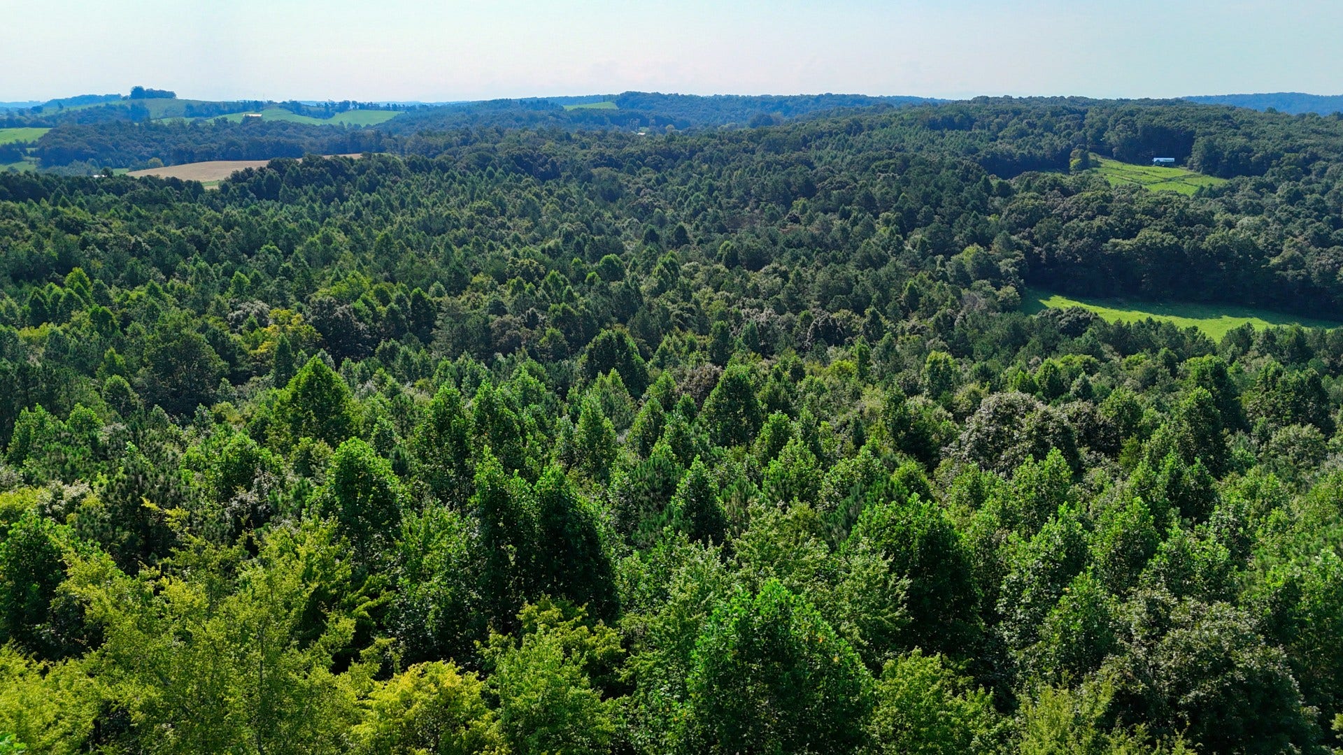 0 Moss Rd, Philadelphia, TN 37846 0 Moss Rd, Philadelphia, TN 37846
