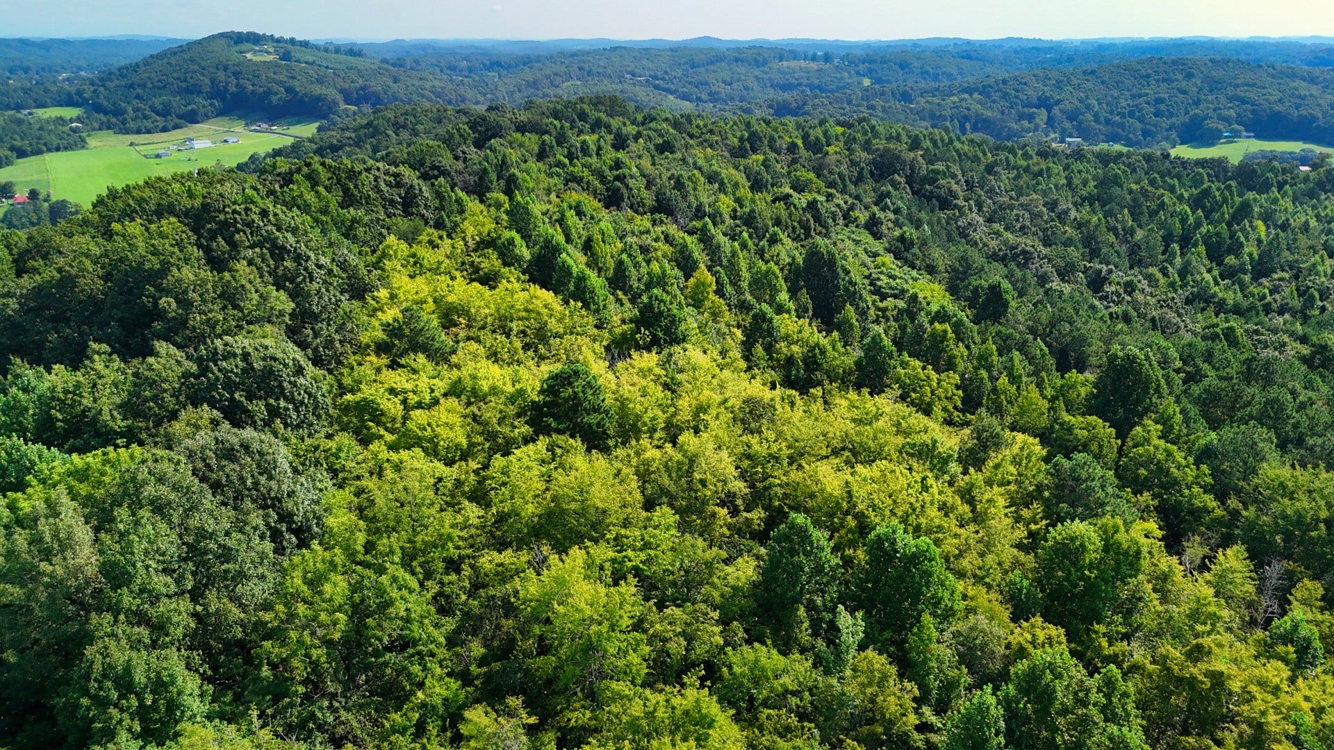 0 Moss Rd, Philadelphia, TN 37846 0 Moss Rd, Philadelphia, TN 37846