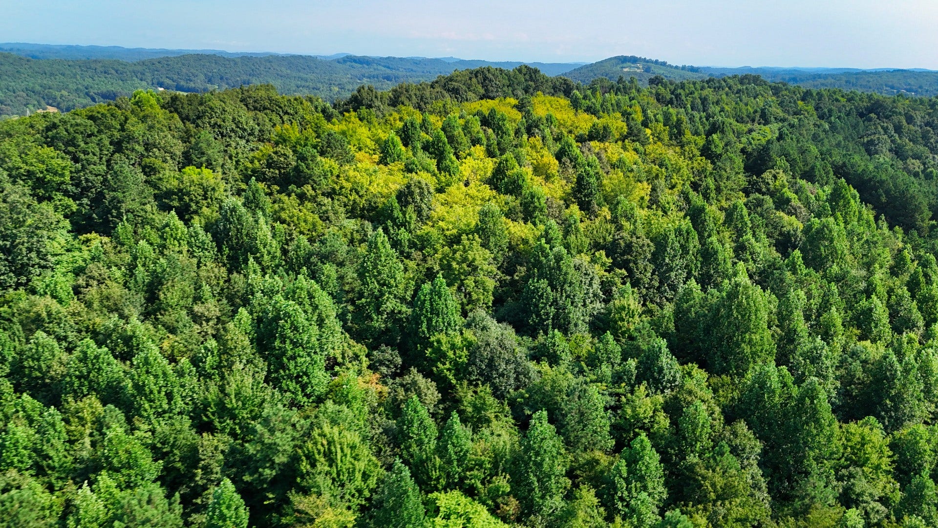 0 Moss Rd, Philadelphia, TN 37846 0 Moss Rd, Philadelphia, TN 37846
