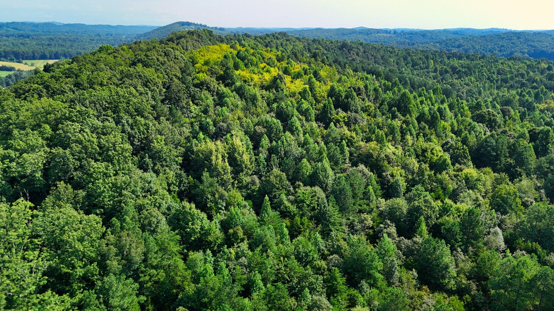 0 Moss Rd, Philadelphia, TN 37846 0 Moss Rd, Philadelphia, TN 37846