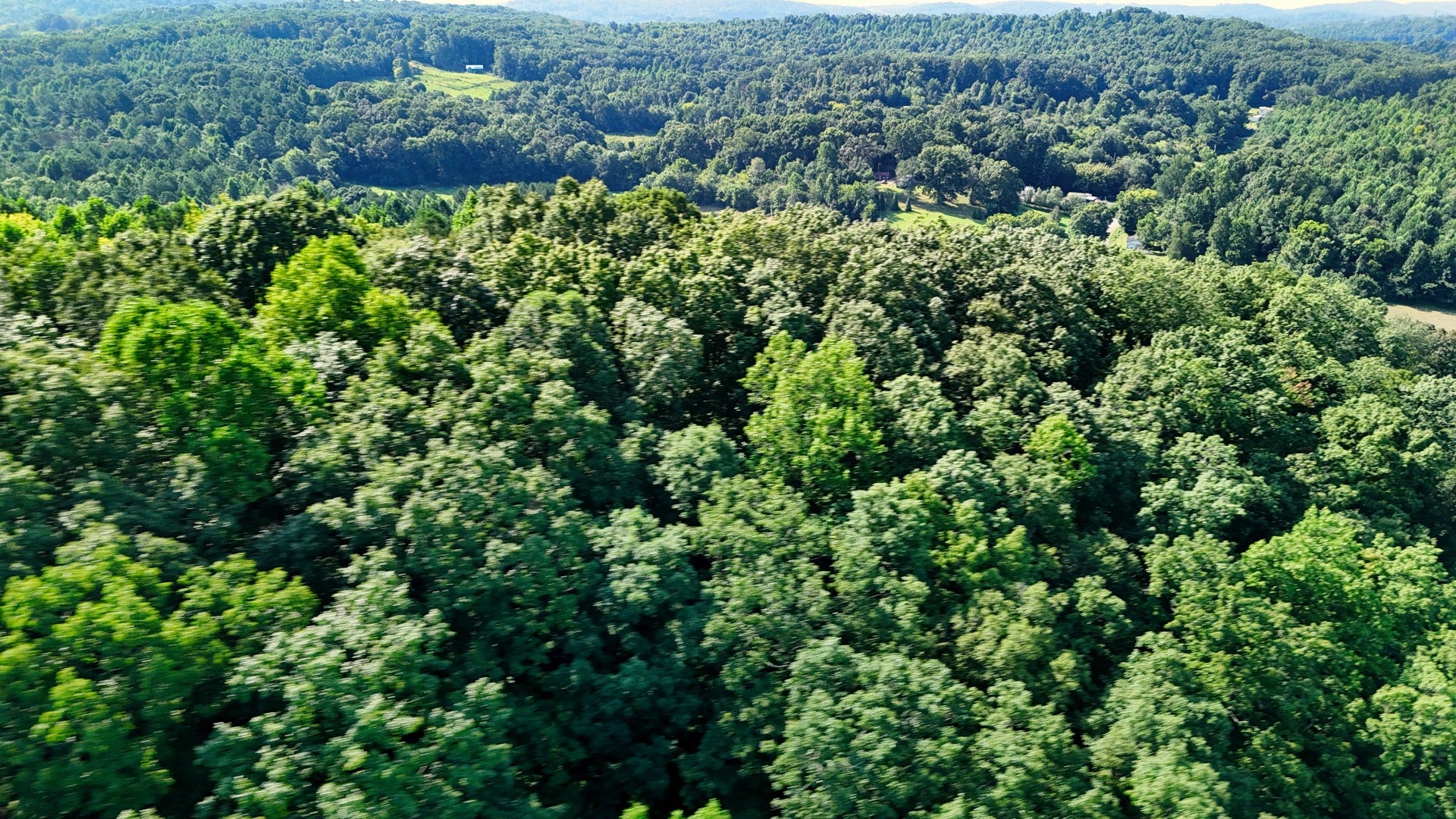 0 Moss Rd, Philadelphia, TN 37846 0 Moss Rd, Philadelphia, TN 37846