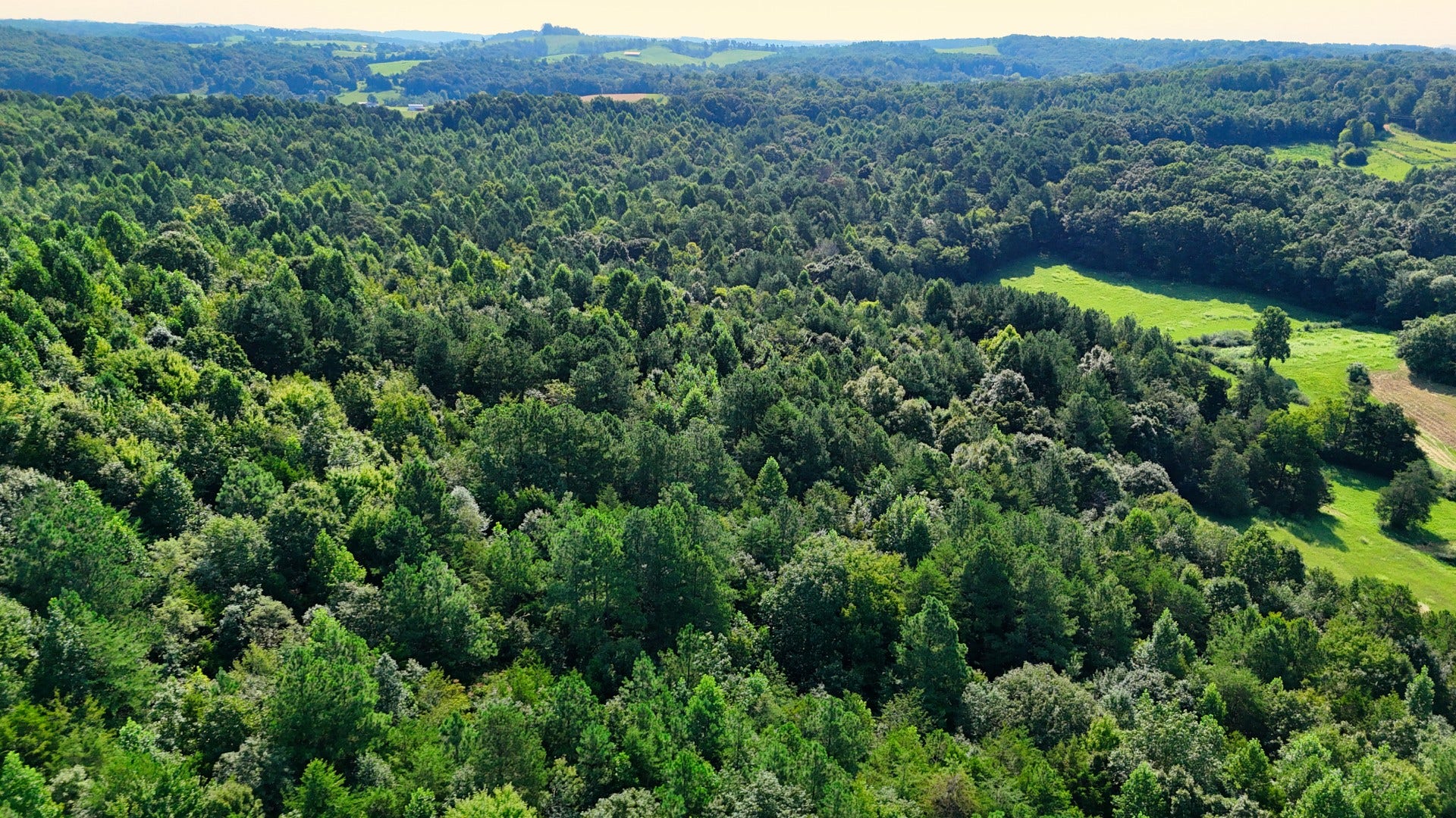 0 Moss Rd, Philadelphia, TN 37846 0 Moss Rd, Philadelphia, TN 37846