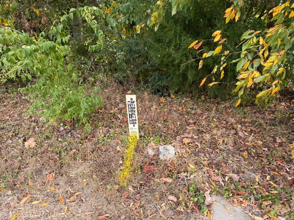 0 Cox Rd, Arrington, TN 37014 0 Cox Rd, Arrington, TN 37014