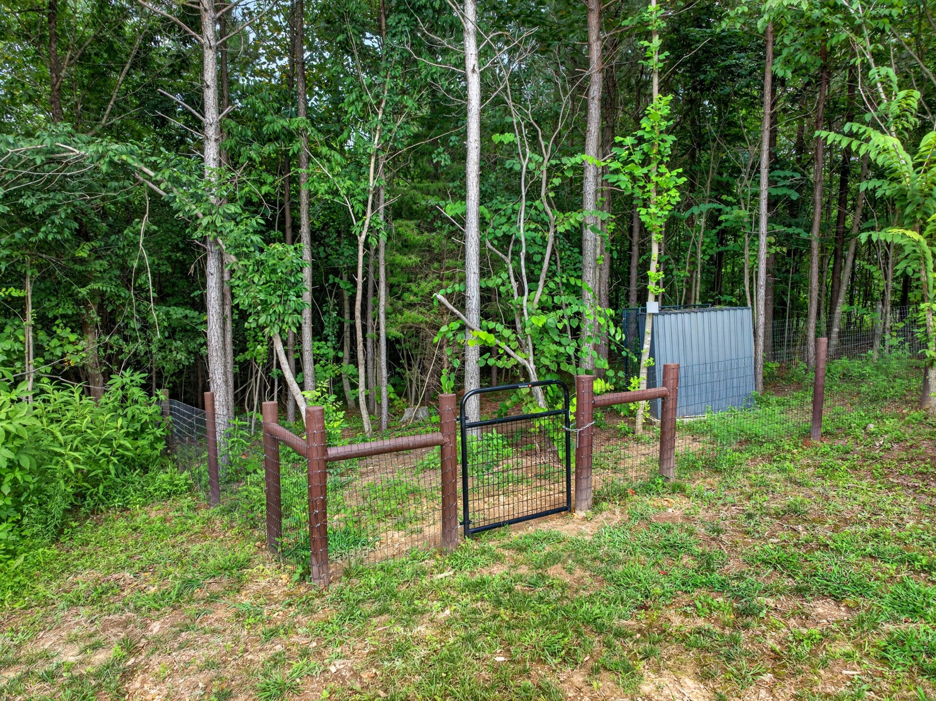 3931 Hwy 231, Erin, TN 37061 3931 Hwy 231, Erin, TN 37061