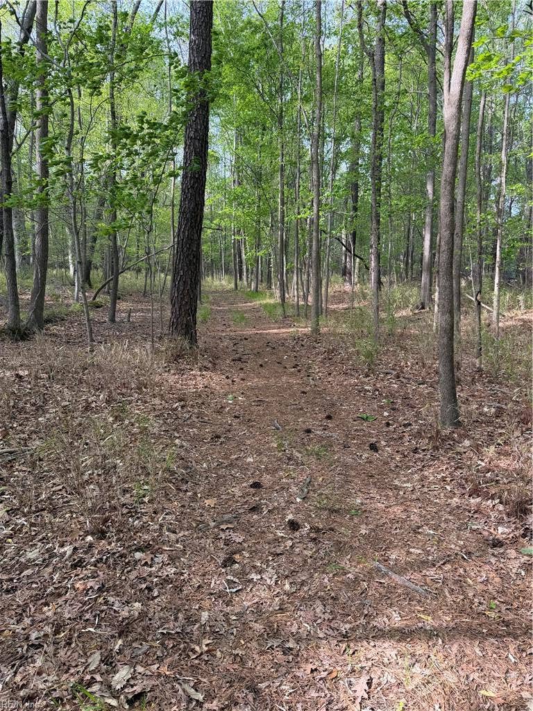 Property photo for 3509 Sigmon Drive, Chesapeake, VA