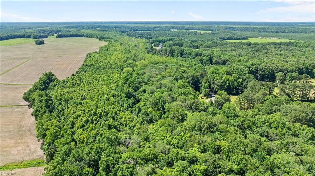1421 Saint Brides Road West offers 16+ acres in Southern Chesapeake.
