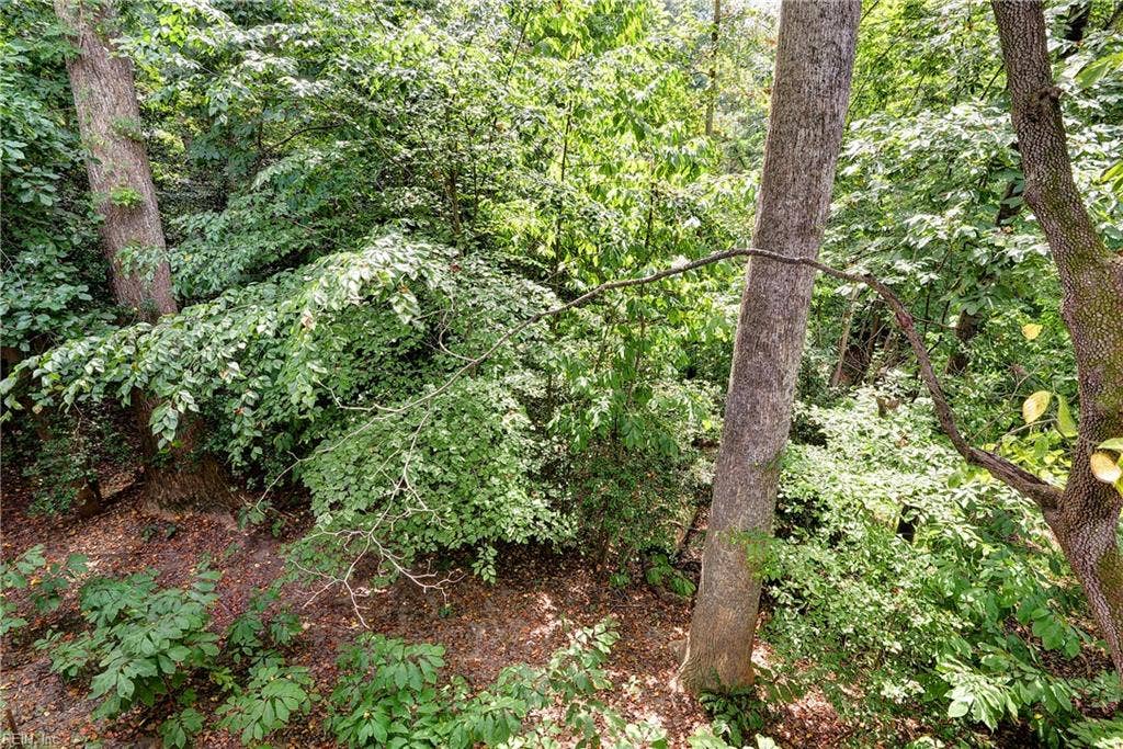 116 Cove Point Lane, Williamsburg, VA 23185 116 Cove Point Lane, Williamsburg, VA 23185