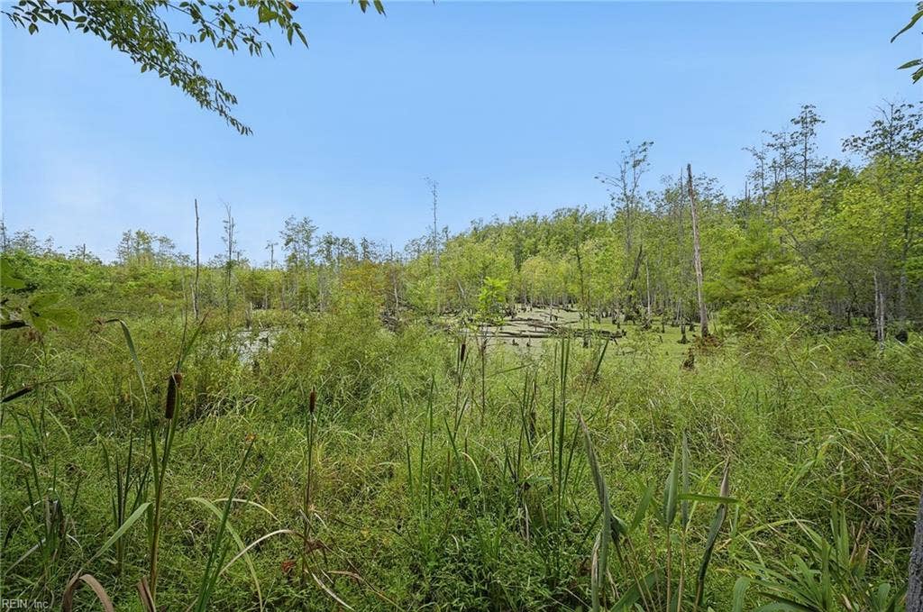 4701 Gates Run Road, Suffolk, VA 23438 4701 Gates Run Road, Suffolk, VA 23438