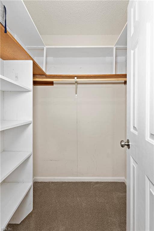 3964 Roebling Lane, Virginia Beach, VA 23452 Primary walk in closet